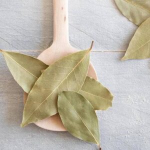 Bay-Leaves-Whole--3